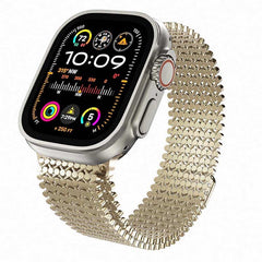 Stainless Steel Magnetic Mesh Watch Band